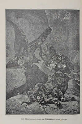 Чеглок А. Мои приключения в Сахаре и Северной Африке. Кн. 2. 10 рассказов из жизни птиц и пресмыкающихся. 1912.